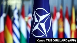 Zastava NATO saveza