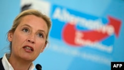 ალის ვაიდელი, AfD-ის ლიდერი