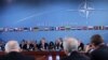 Это уже вторая национальная программа Грузии, которая предоставляется на рассмотрение странам-членам альянса