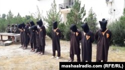 چارواکو پټمخي کسان خبریالانو ته وښوول