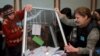 Точная дата выборов мэра Тбилиси еще не названа