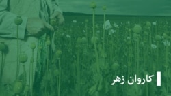  داکتران: مرحله سم زدایی معتادان مواد مخدر باید تحت نظارت داکتر صورت گیرد 