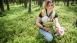 Арына Лісецкая 