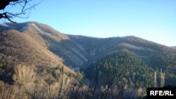 Ущелье реки Дзама