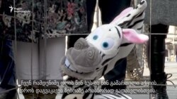 პროტესტის შეცვლილი ფორმები
