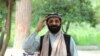 خبریال سلطان محمود خیرخواه