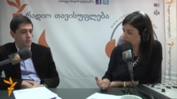 დავით ჩანქსელიანი გარემოს დაბინძურებისათვის დაწესებულ ჯარიმებზე