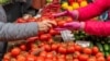 UE și R. Moldova își majorează reciproc cotele la exportul unor produse agricole